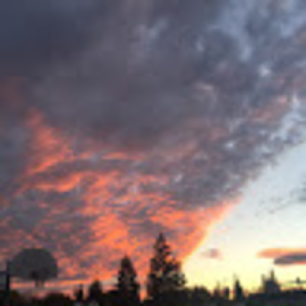 Meet your Posher, Fenna